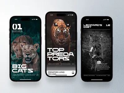 Мобильная энциклопедия branding cover design design graphic design layout typography ui