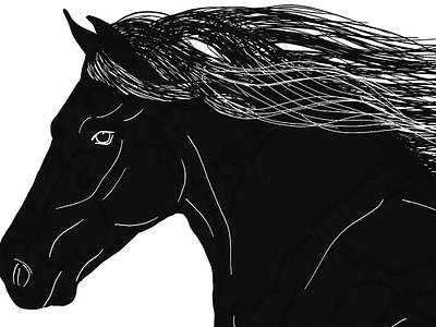 Horse Silhouette black and white branding design digital illustration fourwindsgraphics hand drawn horse illustration logo peggyhellem silhouette