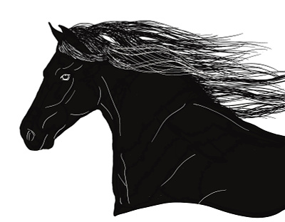 Horse Silhouette black and white branding design digital illustration fourwindsgraphics hand drawn horse illustration logo peggyhellem silhouette