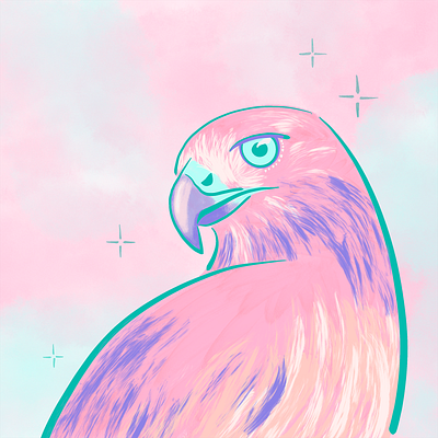 Hawk hawk illustration pink