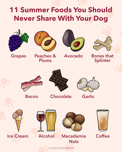 Summer Foods You Should Never Share With Your Dog (TOH) design graphic design icons illustration infographic