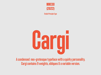 Cargi design type type design typography