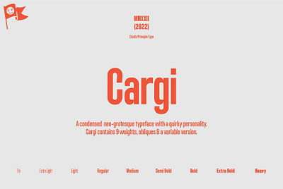 Cargi design type type design typography