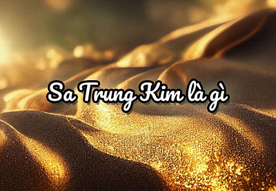 Banner Sa Trung Kim sinh năm nào? banner branding cover graphic design phongthuy