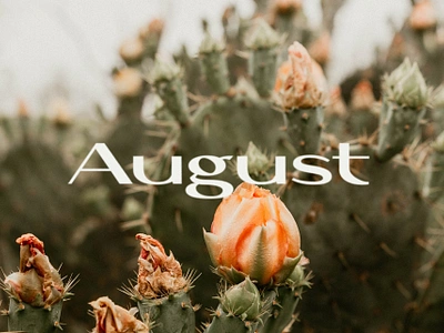 August Typographic Poster august branding cactus chic font graphic design logo poster typeface typography