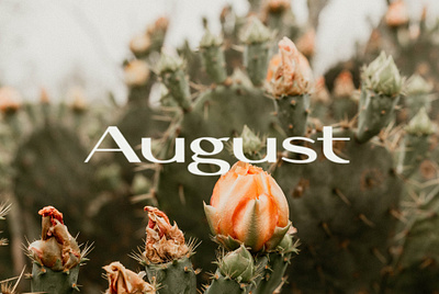 August Typographic Poster august branding cactus chic font graphic design logo poster typeface typography