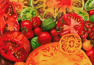 Heirloom Tomatoes Watercolor Illustration botanical art illustration realism watercolor