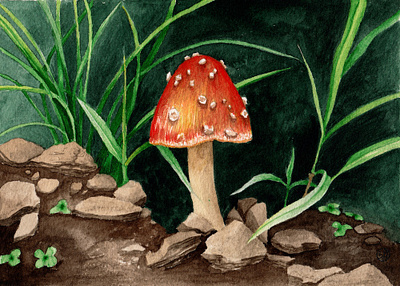 Amanita Muscaria Mushroom 5 Illustration botanical illustration childrens fungi illustration nature watercolor woodland