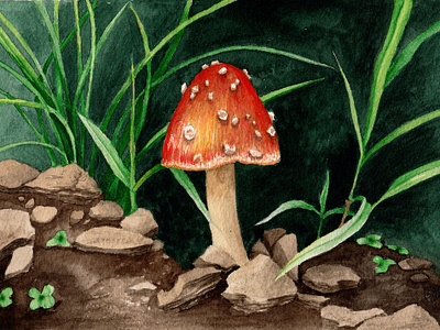 Amanita Muscaria Mushroom 5 Illustration botanical illustration childrens fungi illustration nature watercolor woodland