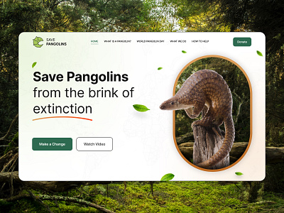 Landing Page Concept | Saving Pangolins animal creative design dribbble graphic design inspiration landing page pangolins ui design uiux design ux design webdesign