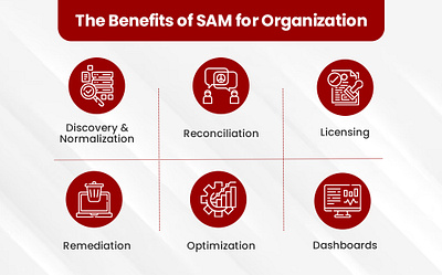 The Benefits of SAM for Organization app branding design graphic design illustration