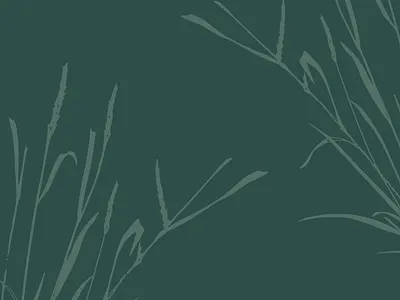 Patterns of Nature: Molinia's Signature Silhouettes 🌿🌱 aesthetics brand brandidentity branding color graphic design green illustration inspiration leaves minimalistic nature pattern plant simple