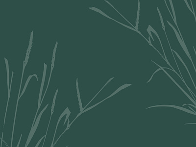 Patterns of Nature: Molinia's Signature Silhouettes 🌿🌱 aesthetics brand brandidentity branding color graphic design green illustration inspiration leaves minimalistic nature pattern plant simple