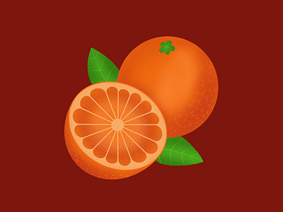 Oranges design flat fruit illustration orange