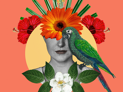 Harmony in Flower adobe art collage color design digital art digital collage graphic design illustration photoshop