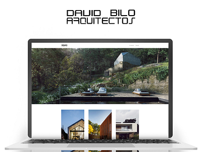 DAVID BILO WEB DEVELOPMENT branding clean design graphic design illustrator logo minimal ui vector web website