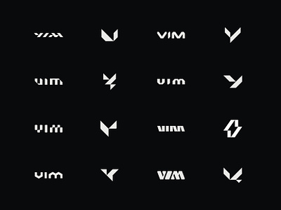 VIM - Electric Car / Logo Exploration animal bird car electric icon logo mark symbol vim wings