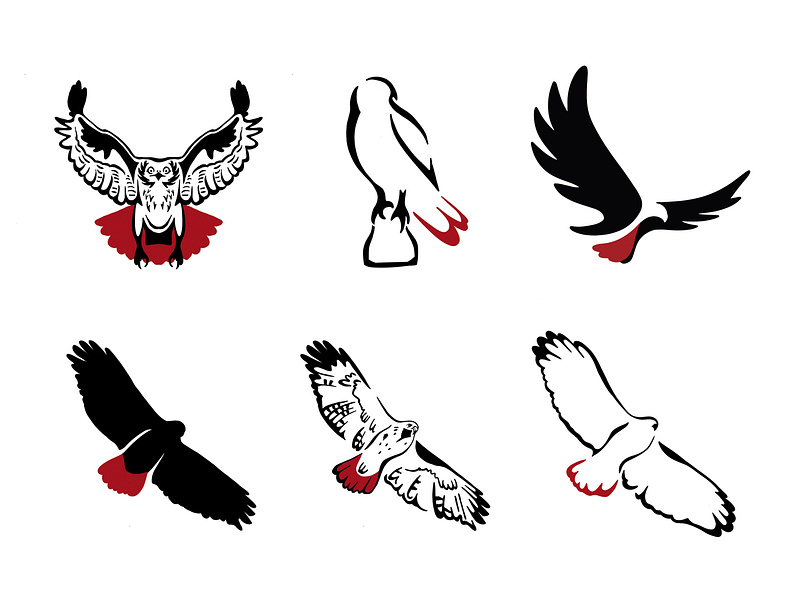 Logo concept icons of Red Tailed Hawk animal bird branding eagle falcon flight flying graphic hawk icon identity illustration logo mark minimal modern nature symbol vector wing