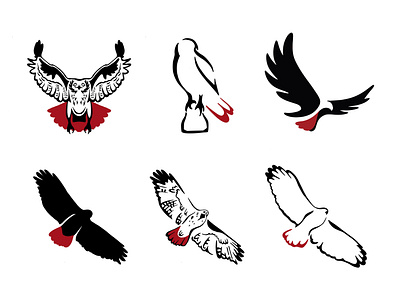 Logo concept icons of Red Tailed Hawk animal bird branding eagle falcon flight flying graphic hawk icon identity illustration logo mark minimal modern nature symbol vector wing