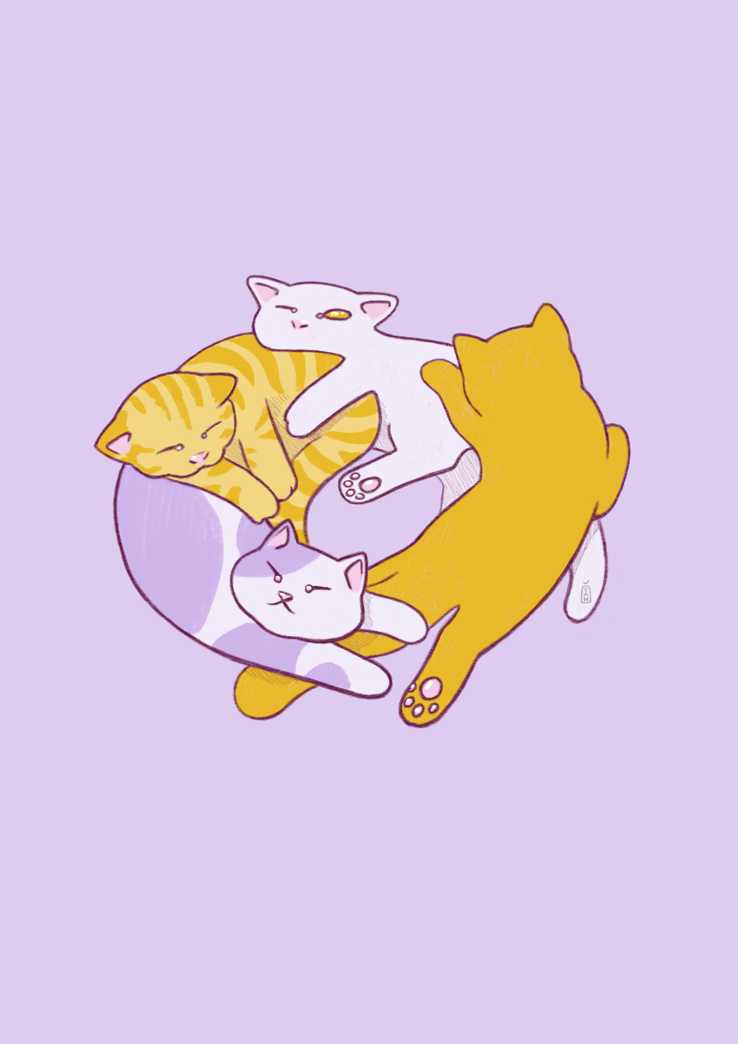 Example of Cat cycle