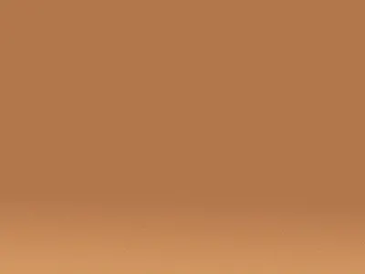Pemilu 2019: Short Animation animation branding motion graphics
