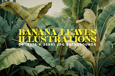 24 Captivating Banana Leaf Illustrations in Stunning Detail! aesthetic banana botanical creative exotic flora foliage greenery leaf leaves lushful paradise summer tropical