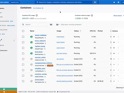 Docker Desktop container resource usage analytics chart container cpu desktop desktop app dev dev tool developer developer tool docker monitoring pan ram resource zoom
