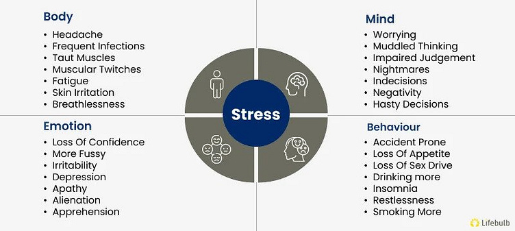 Understanding Stress and Its Impact by Kate copper on Dribbble