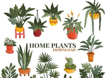 Home plants set stickers design flowers graphic design green plants hom plants home plants illustration logo pattern stickers tropical vector ui