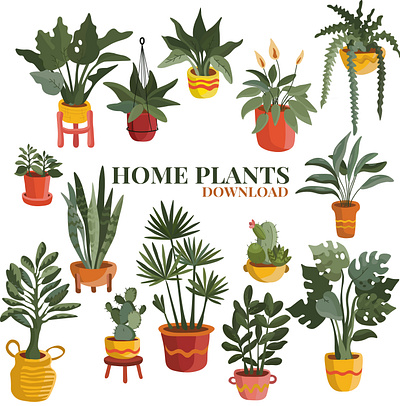 Home plants set stickers design flowers graphic design green plants hom plants home plants illustration logo pattern stickers tropical vector ui