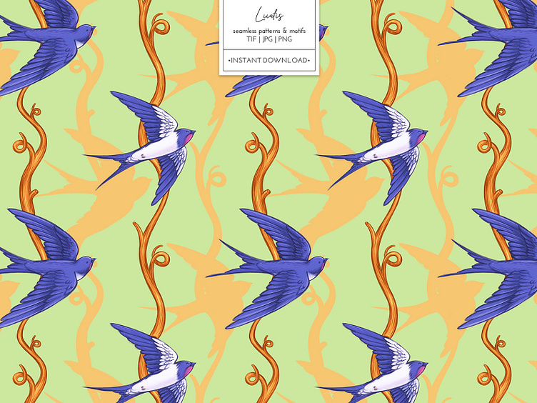 COTTON - patterns & motifs by Nataliia Fisenko on Dribbble