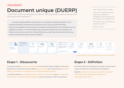 Presentation DUERP conception ux