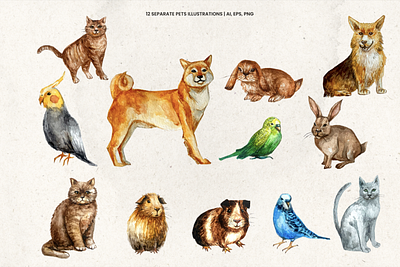 Lovely Pets Watercolor Illustrations Kit animals branding cat cover design cute illustrations design dog graphic design illustrations kids illustrations nursery design packaging design parrot pets poster design print design product design rabbit seamless pattern textile design