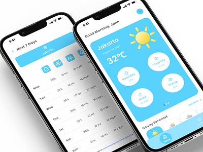 Weatherly - Weather Forecast Mobile App app appdesign forecast mobile mobiledesign ui uidesign weather