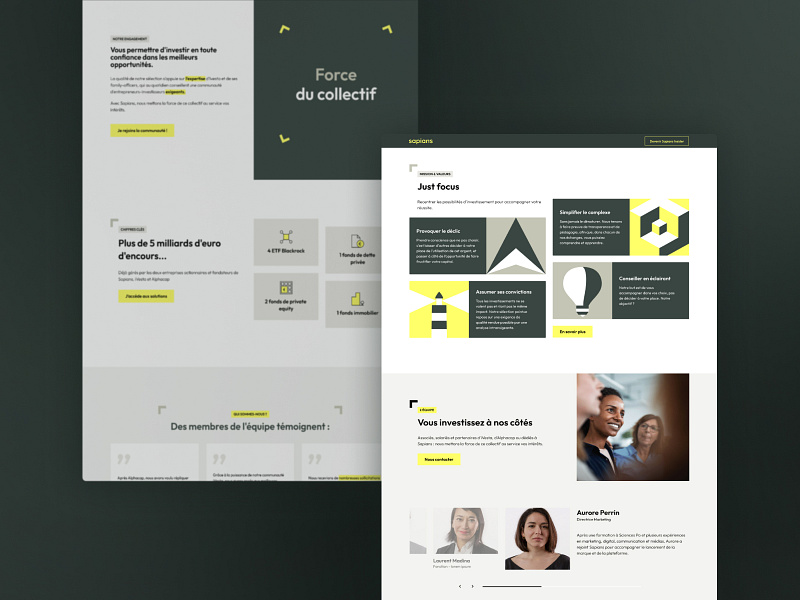 A brand New website for Sapians design graphic design ux website