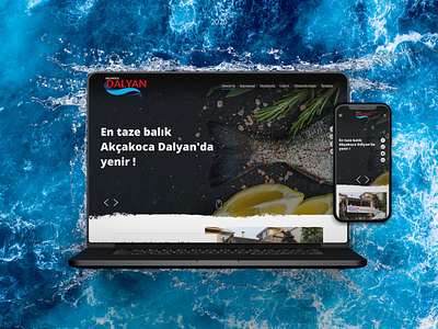 Akcakoca Dalyan Fish Restaurant UI/UX Design landingpage ui ux