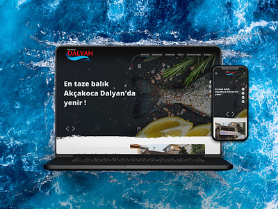 Akcakoca Dalyan Fish Restaurant Web Design landingpage ui ux