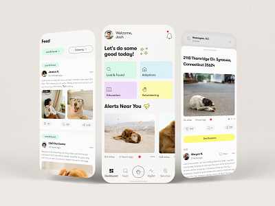 PawSee - Stray Animals Rescue App & Beyond 🐾 animal app beige branding cat colorful dog graphic design mint mobile app modern app pets ui uiux web design