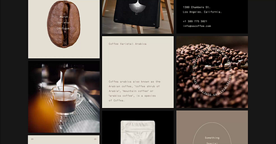 Something Special Coffee Roasters branding graphic design motion graphics packaging visualidentity