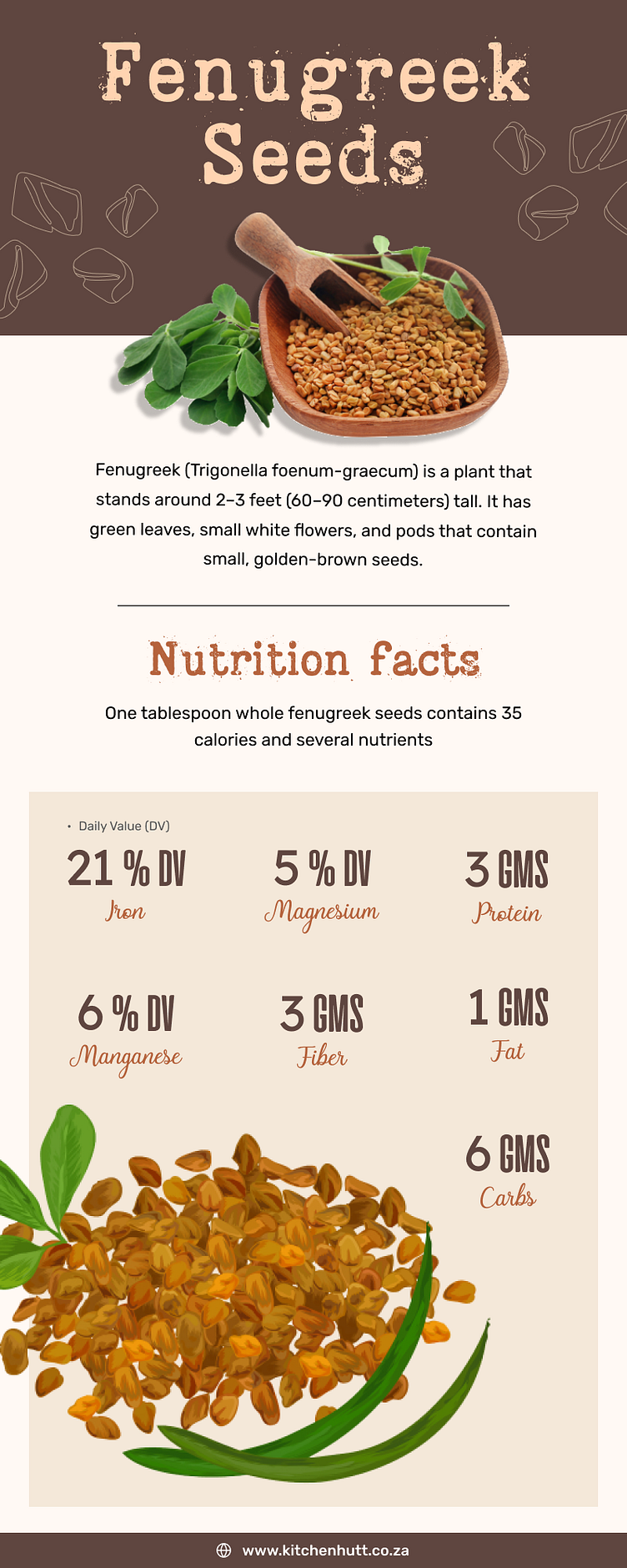 Know The Basics & Nutrition Facts Of Fenugreek Seeds by KitchenHutt