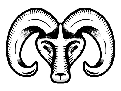 Ram blackandwhite drawing horns illustration illustrator ram vector vectorart