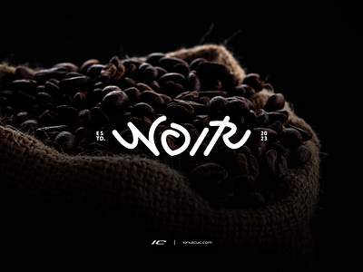 NOIR ▸ hand drawn logotype branding concept design logo logodesign logotype typography