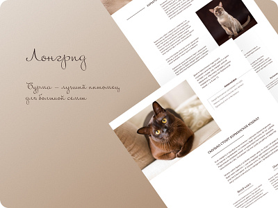 Longrid about the Burmese cat breed / 01 app design logo typography ui ux