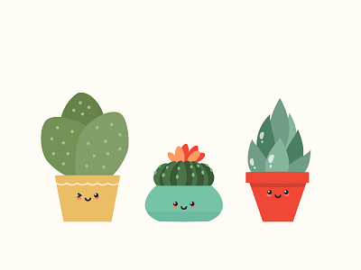 Funny cactuses home plant