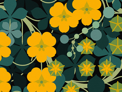 ANDEAN NASTURTIUM (2023) branding design floral illustration minimal illustration nature packaging vector wildlife