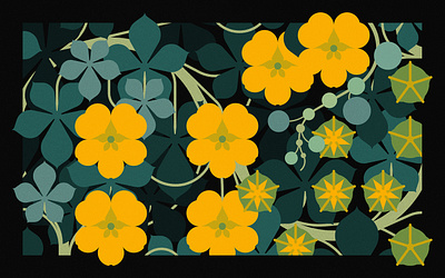 ANDEAN NASTURTIUM (2023) branding design floral illustration minimal illustration nature packaging vector wildlife