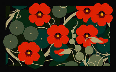 GARDEN NASTURTIUM (2023) branding design floral illustration minimal illustration nature vector wildlife