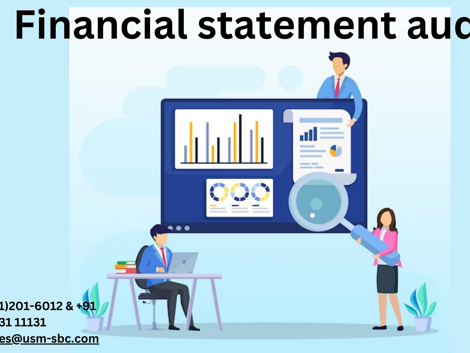 What Is A Financial Statement Audit