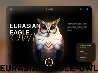 Moonlit Whispers: Unveil Night's Charm with Owl-Inspired Design animals bird bird icon bird illustration bird logo fluttertop hero hero area hero banner hero header hero image landing page marvel nature owl hero section owls super superhero uiux wildlife