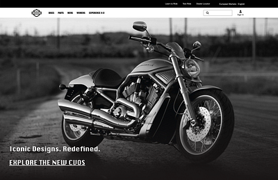 Harley Davidson, RIDEstyle branding graphic design test typography ui